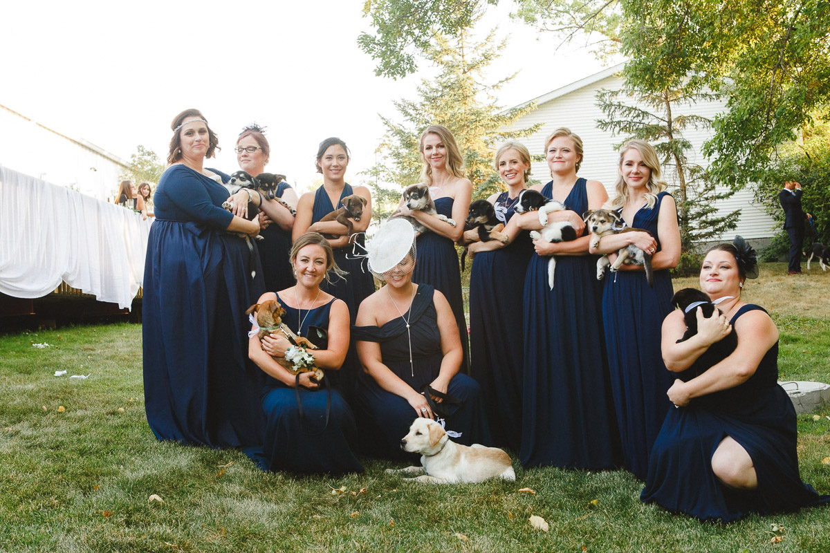 wedding party with adoptable puppies instead of bouquets