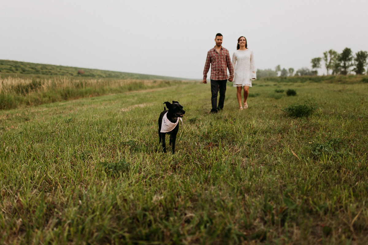 Engaged Winnipeg couple walking in a field with their dog at La Barriere park